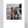 Hana Kim Valentine's Day|Anniversary*Beach Dogs Hug Greeting Card | Ohh Deer