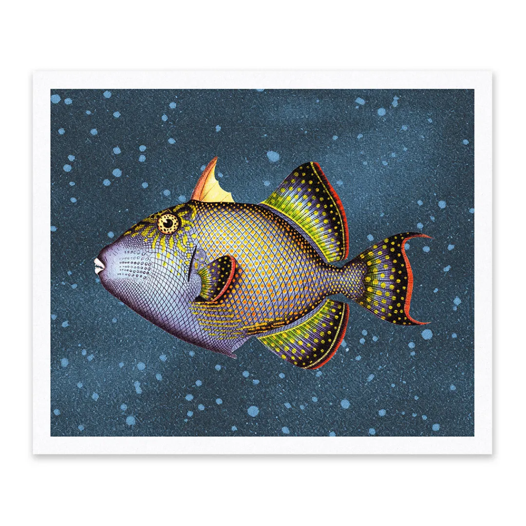 Ohh Deer Prints*Blue Triggerfish Riso Print (12x10)