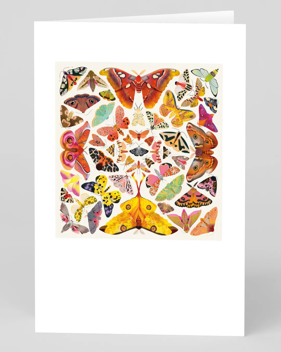 Natasha Durley Thank You|Birthday*Butterfly Kaleidoscope Greeting Card | Ohh Deer