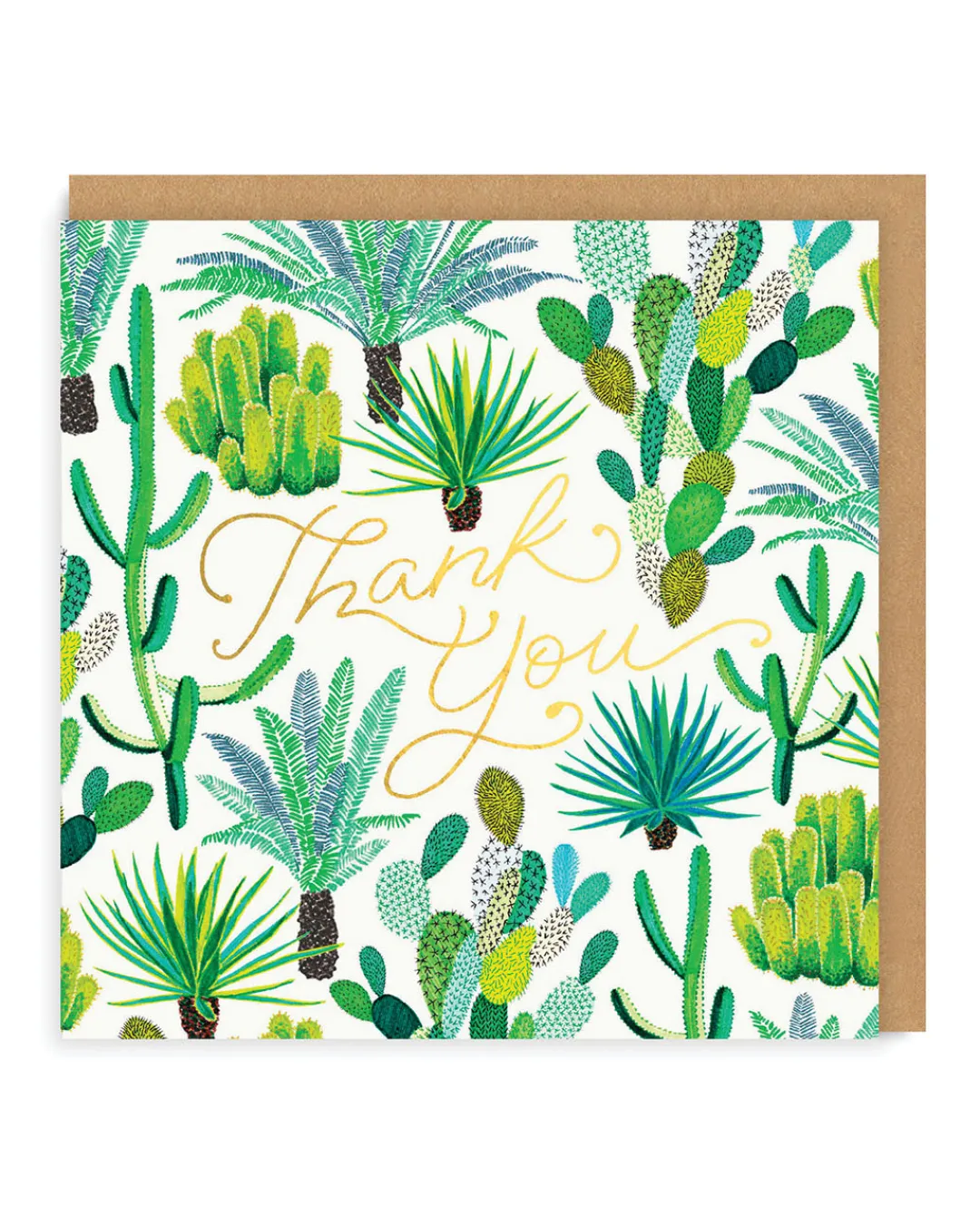Jacqueline Colley Thank You*Cacti Thank You Greeting Card