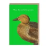 Natural History Museum Birthday Cards*Card Is The Present Greeting Card