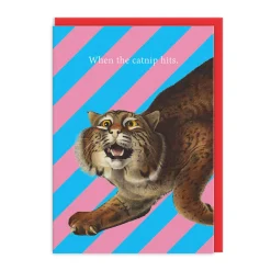 Natural History Museum Birthday Cards*Catnip Hits Greeting Card