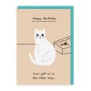 Ken The Cat Birthday Cards*Gift Is In The Litter Tray Birthday Card | Ohh Deer