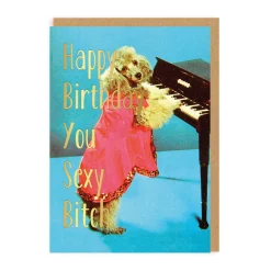 Smitten Kitten Birthday Cards*Happy Birthday You Sexy Bitch Card | on Ohh Deer