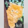 Smitten Kitten Birthday|Birthday Cards*How Old? As If Personalised Birthday Card | Ohh Deer