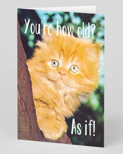 Smitten Kitten Birthday|Birthday Cards*How Old? As If Personalised Birthday Card | Ohh Deer