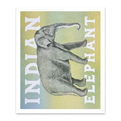 Ohh Deer Prints*Indian Elephant Riso Print (12x10)