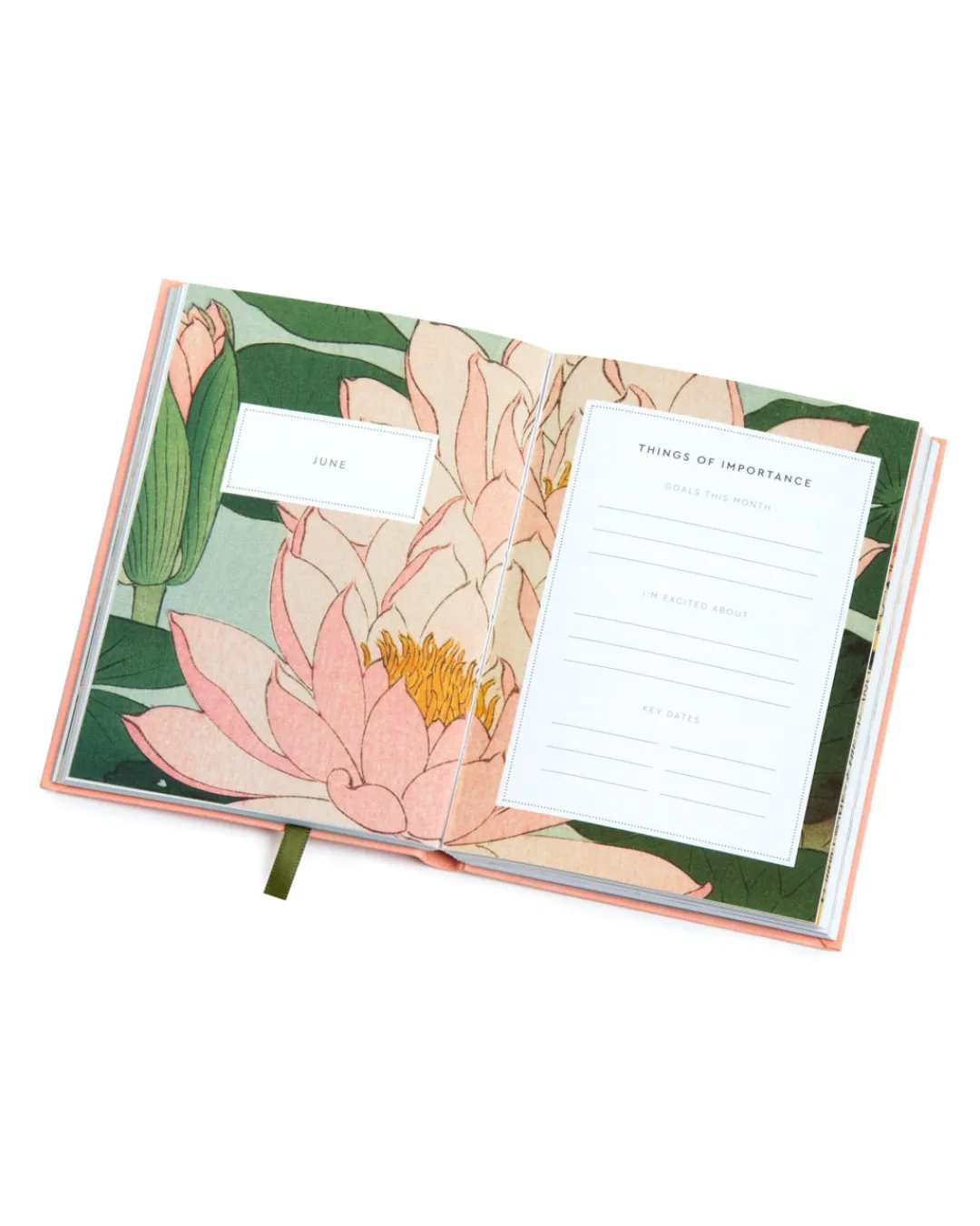 Ohh Deer 2025 Diaries|Stationery Gifts*Japanese Blossom 2025 Diary | A5 Linen Diary