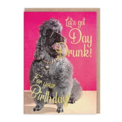 Smitten Kitten Birthday Cards*Lets Get Day Drunk Birthday Card 🍾 | Ohh Deer