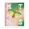 Ohh Deer Prints*Mantis Riso Print (12x10)