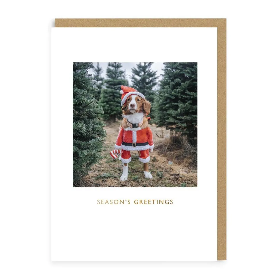 Say Cheese Christmas Cards*Maple Santa Christmas Card