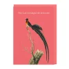 Natural History Museum Birthday Cards*Misjudged Dress Code Greeting Card