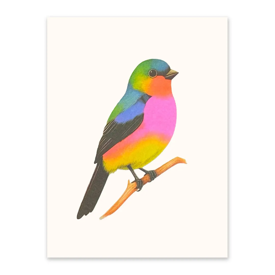 Ohh Deer Prints*Neon Bird on a Branch Riso Print (8x6)