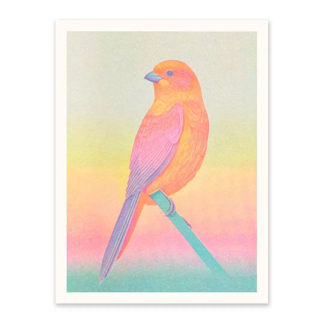 Ohh Deer Prints*Neon Ombre Bird Riso Print (8x6)
