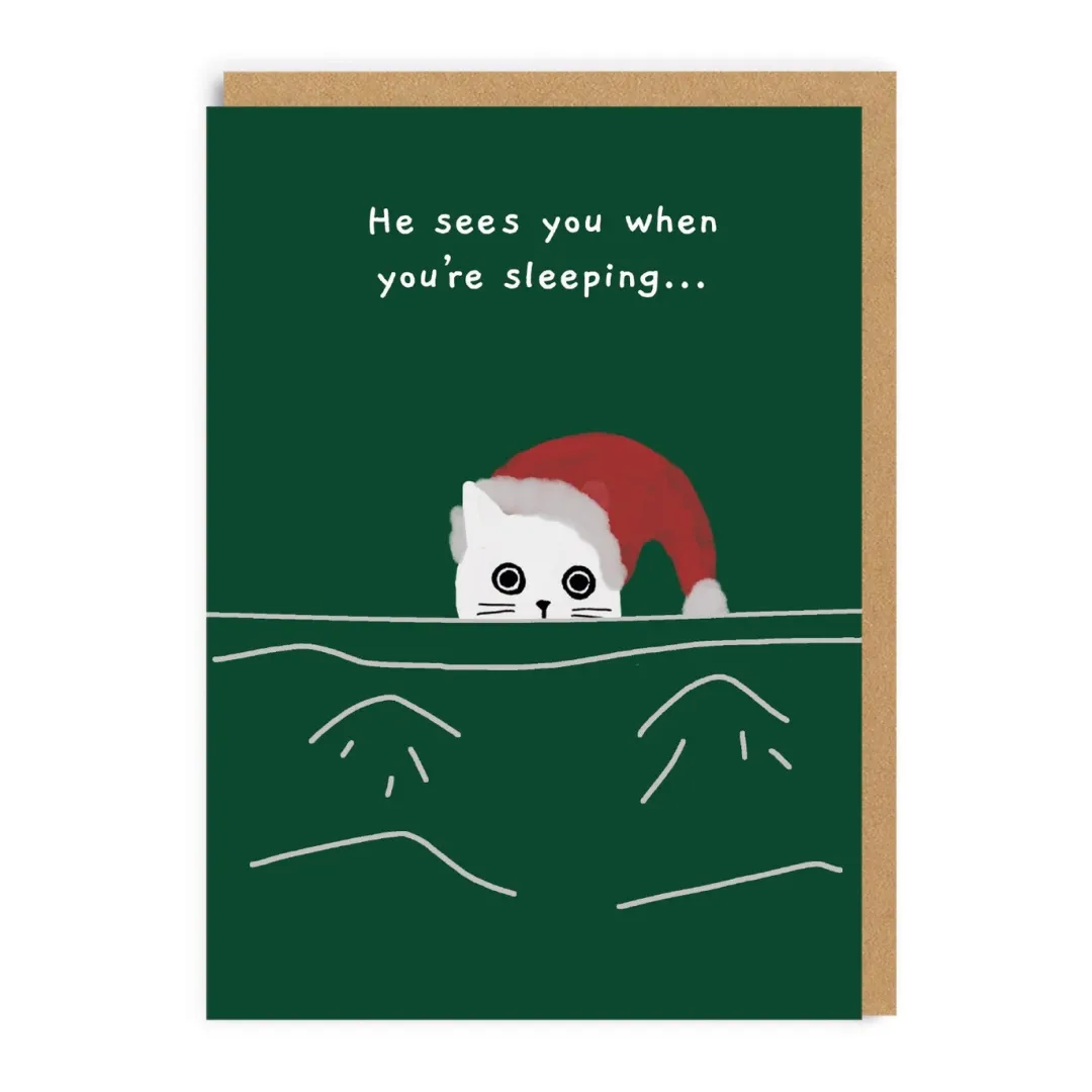 Ken The Cat Christmas Cards*Pack of 9 Christmas Cards -