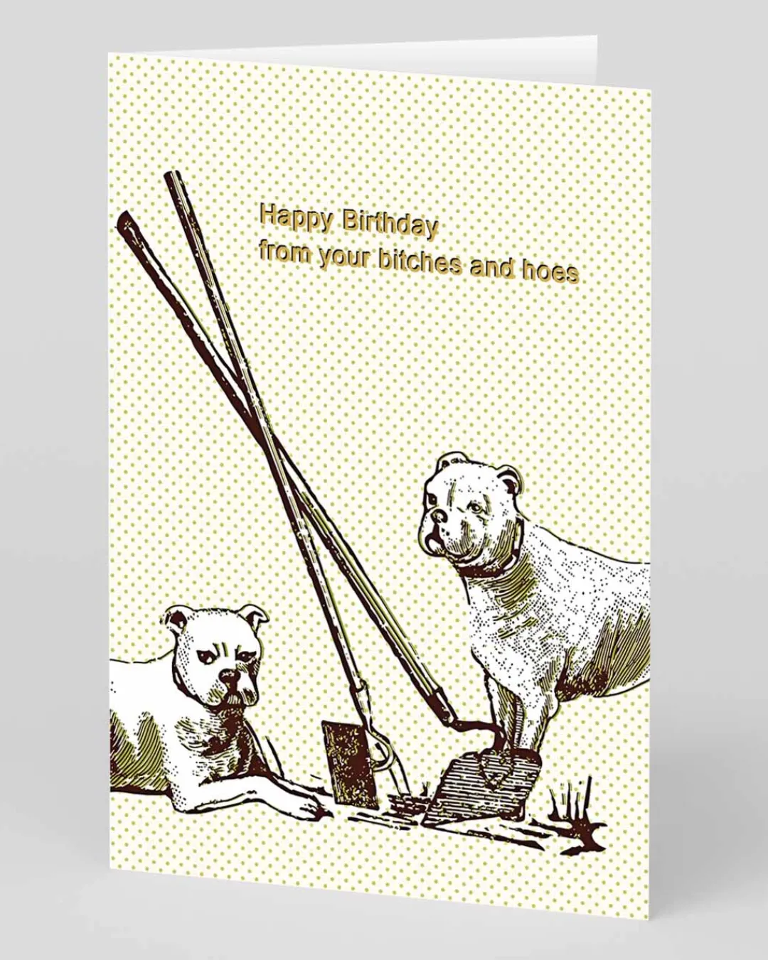 Smitten Kitten Birthday|Birthday Cards*Personalised Bitches and Hoes Birthday Card | Ohh Deer