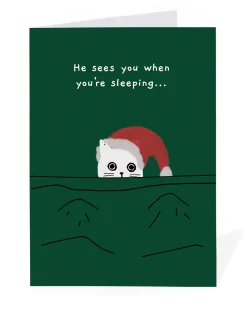 Ken The Cat Christmas|Christmas Cards*Personalised He Sees You When You're Sleeping Cat Christmas Card | Ohh Deer