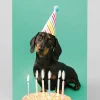 Ohh Deer Birthday|Birthday Cards*Personalised Scout Party Hat Birthday Card |