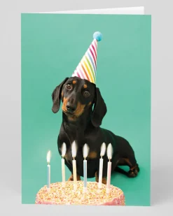 Ohh Deer Birthday|Birthday Cards*Personalised Scout Party Hat Birthday Card |