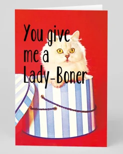 Smitten Kitten Valentine's Day|Anniversary*Personalised You Give Me a Lady Boner Greeting Card | Ohh Deer