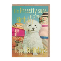 Smitten Kitten Birthday Cards*Pretty Sure Its Your Birthday Card - | Ohh Deer
