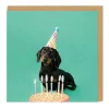 Say Cheese Birthday Cards*Scout Party Hat Square Birthday Greeting Card