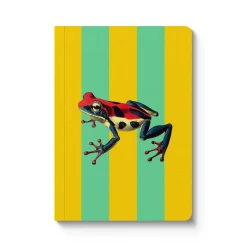 Kaleido Notebooks Under £10|Stationery Gifts*Striped Frog A6 Perfect Bound Notebook