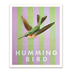 Kaleido Prints*Striped Hummingbird Small Art Print (12x10)