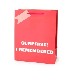 Ohh Deer Gift Bags*Surprise I Remembered Large Gift Bag