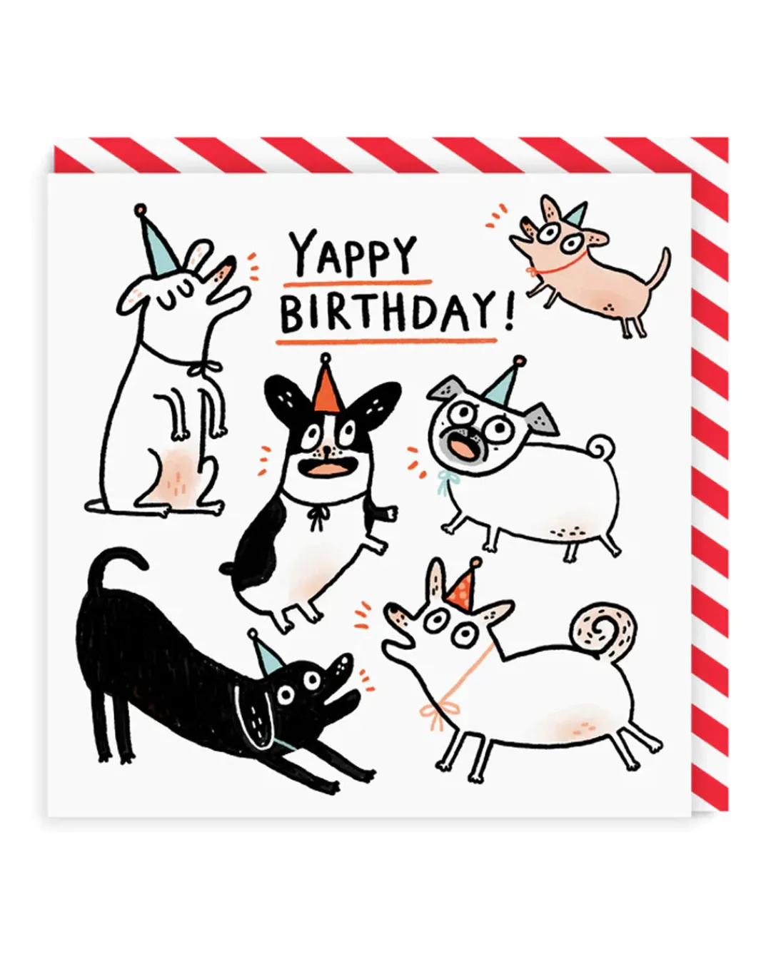 Gemma Correll Birthday Cards*Yappy Birthday Card