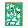 Badger u0026 Burke Birthday Cards*Yappy Birthday Dogs Card | Ohh Deer