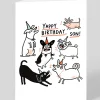Gemma Correll Birthday|Birthday Cards*Yappy Birthday Son Greeting Card | Ohh Deer