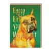 Smitten Kitten Birthday Cards*You Magnificent Bastard Birthday Card 🐕 | Ohh Deer